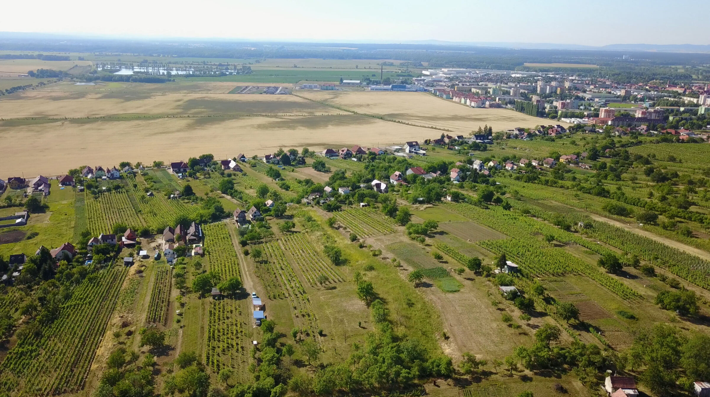 Letecký pohľad na skalické vinohrady